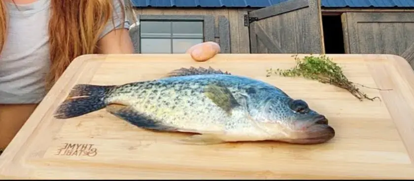A whole crappie laid out on a bamboo board next to a few sprigs of thyme